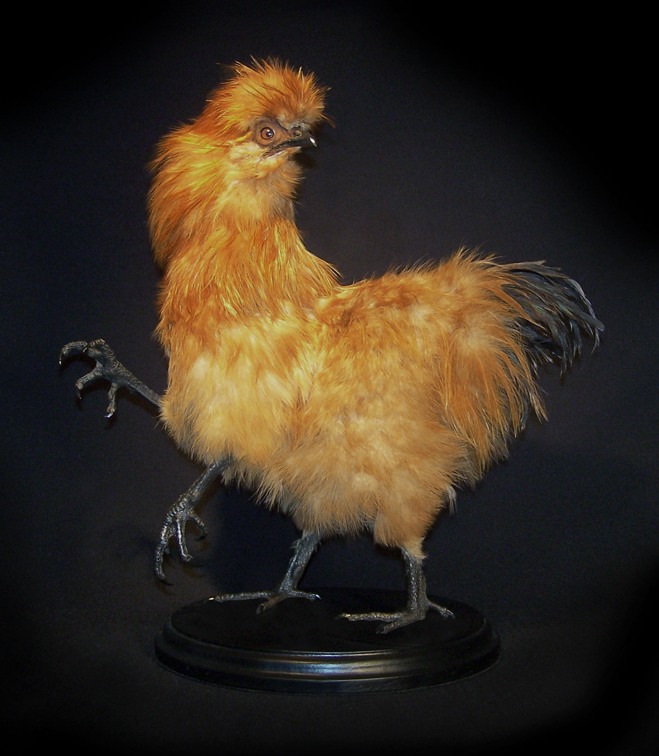 CHERNOBYL CHICKEN