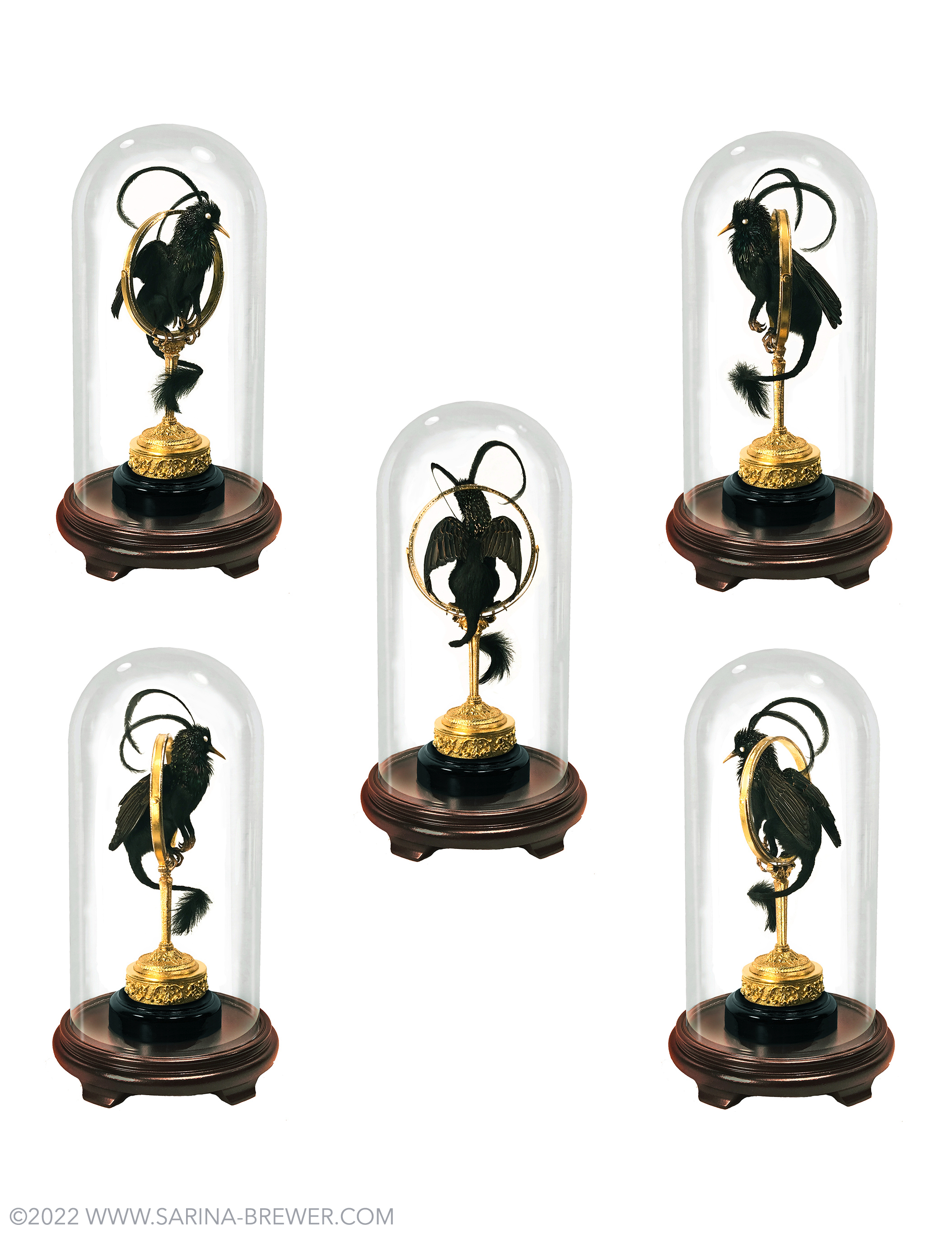 additional angles of Absinthe