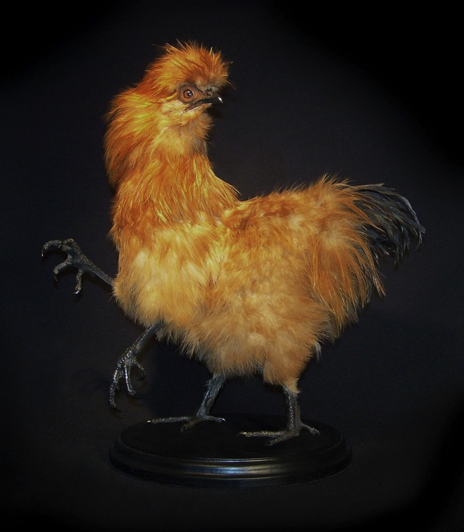 CHERNOBYL CHICKEN